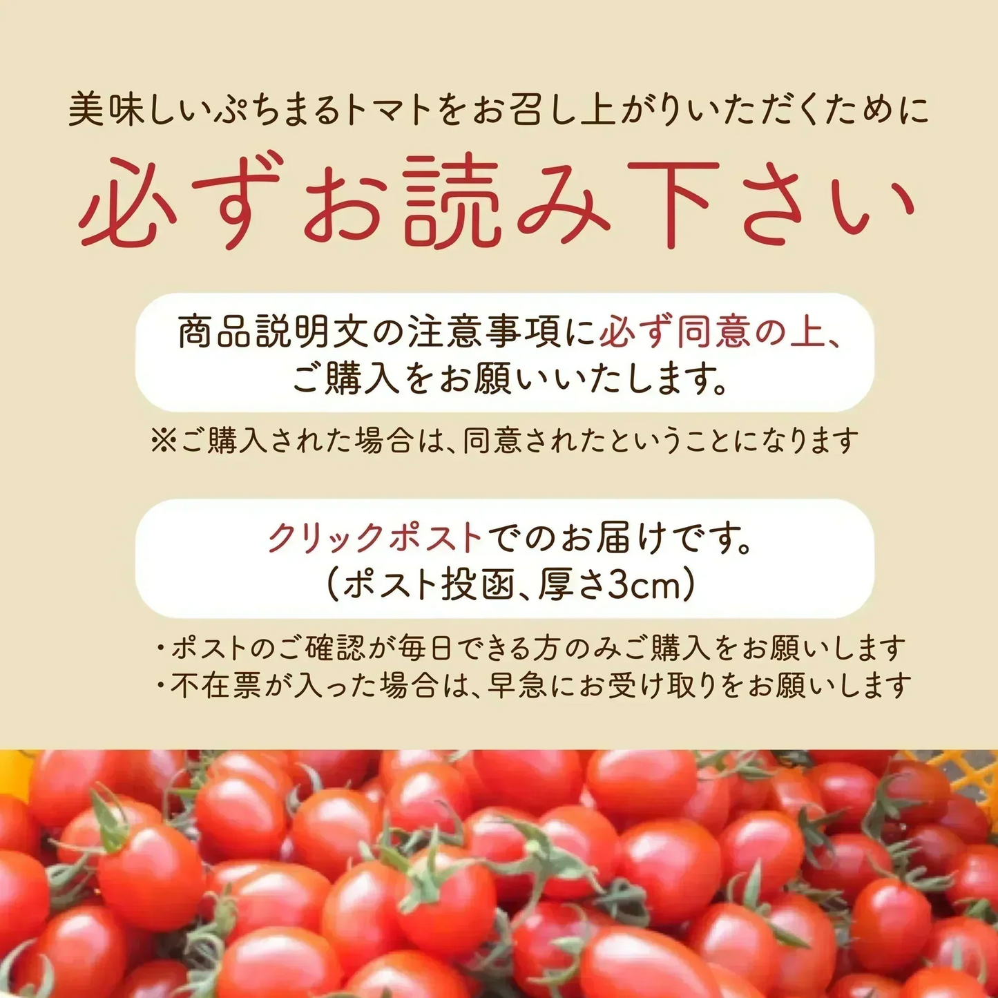 【10営業日以内に発送】ぷちまるトマト★ 430g（260~280g+補償分150g)【カウシェファーム収穫対象商品】