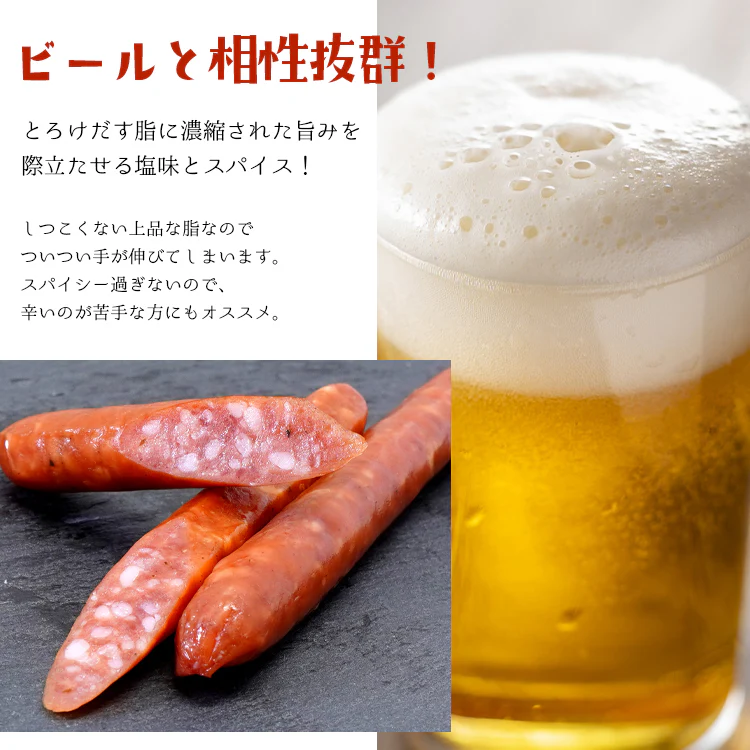 銀河のサラミ お試し 珍味 おつまみ 酒の肴 上級 2本入×5パック