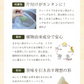 【2024年産】静岡県産緑茶 ティーライフのまかない新茶 100個入（ ティーバッグ 緑茶 新茶 ）