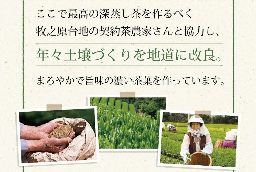 【2個セット】日本橋いなば園 静岡深蒸し茶 掛川茶 100g メール便 送料無料