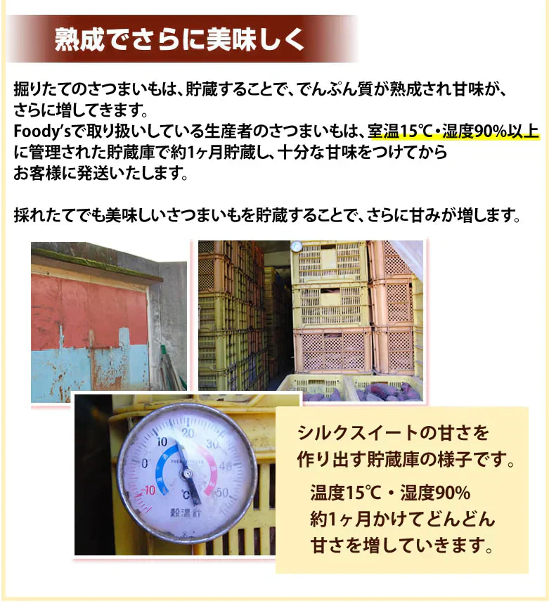 【10月下旬～11月上旬頃より順次出荷】さつまいも シルクスイート 訳あり 1.5kg 送料無料 熊本・宮崎県産 サツマイモ 春こがね 紅まさり 焼き芋 芋