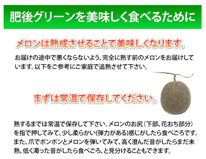 メロン 肥後グリーンメロン 送料無料 2玉 約3～4kg M～3L 熊本県産 肥後グリーン