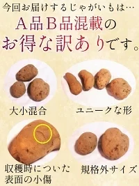 岩手県産 じゃがいも 5kg 無農薬栽培 きたあかり