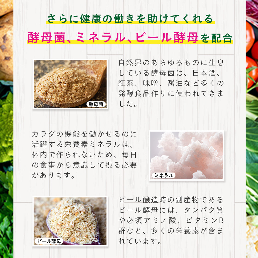 まいにち酵素《約1ヶ月分》野草 果実 海藻 キノコ 豆類を使用 送料無料 酵素サプリ