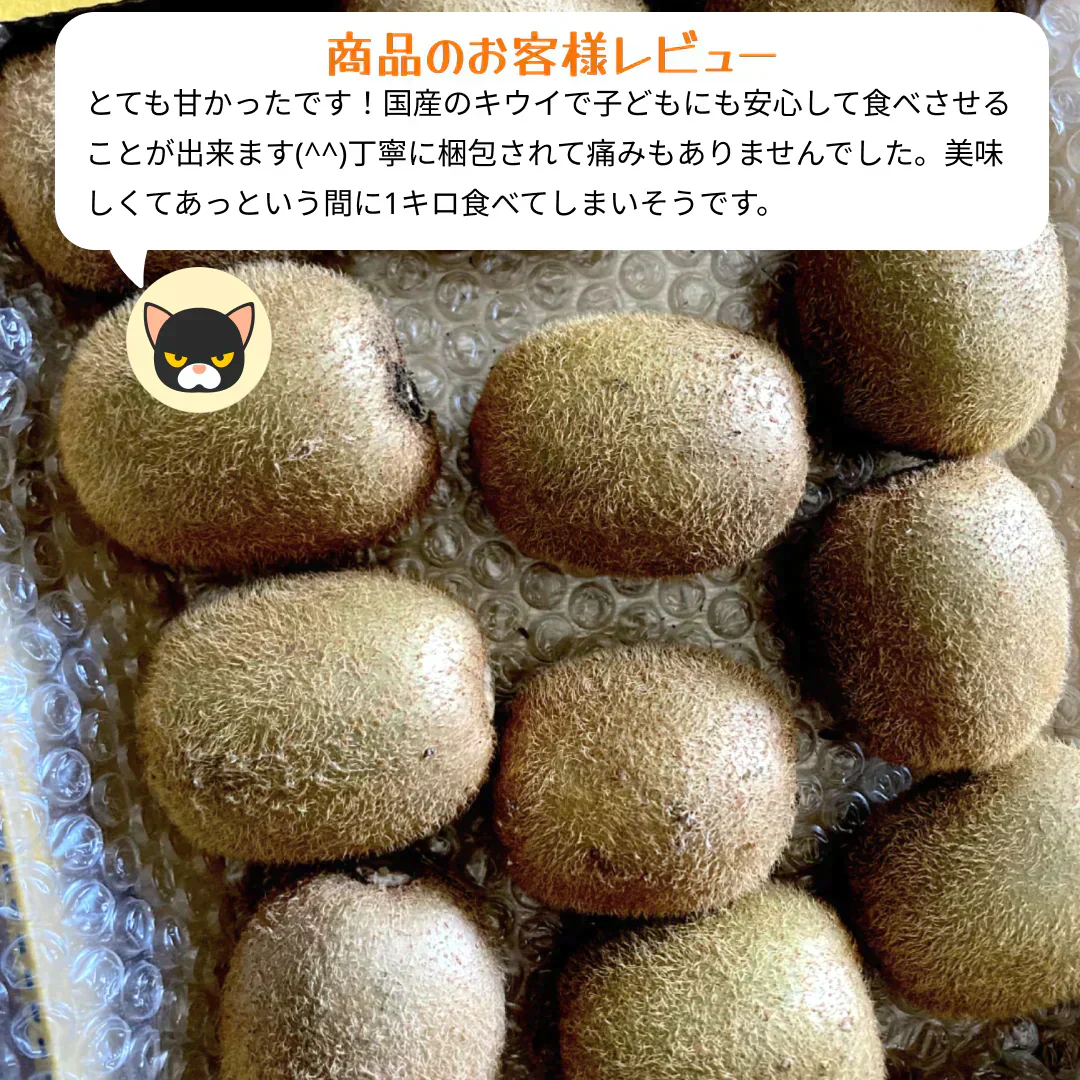【１１月頃発送開始】おトクで美味しい！　愛媛県産　グリーンキウイ2Kg(20個前後）（風袋込み）