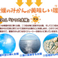 あいか 愛媛産 5kg ご家庭用 （発送予定：11月下旬より）