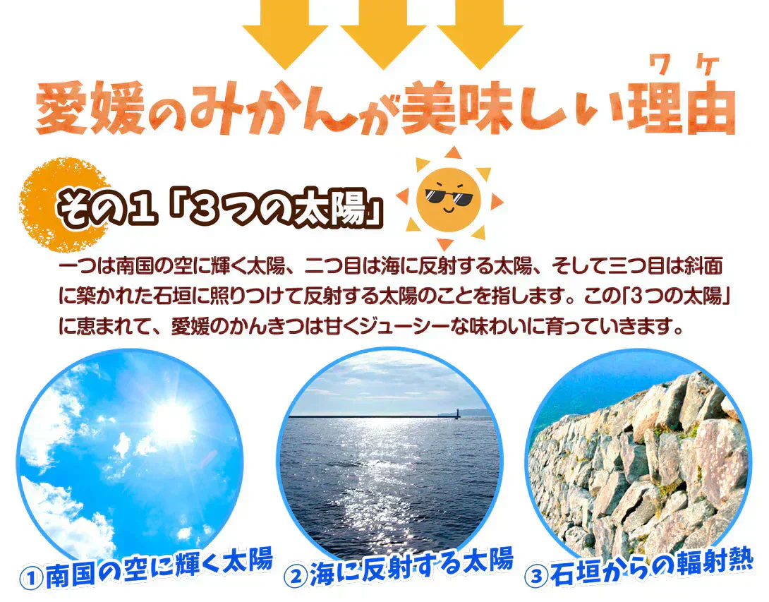 あいか 愛媛産 5kg ご家庭用 （発送予定：11月下旬より）