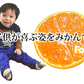 みかん 温州みかん 送料無料 訳あり 2kg 2セット購入で1kgおまけ 3セット購入で3kgおまけ 熊本県産 熊本みかん 蜜柑 ミカン