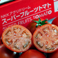 トマト 高糖度フルーツトマト 国産 ご家庭用 茨城県産 約900g（9〜16玉入） 糖度9度以上 中玉トマト 高級 ギフト プレゼント 産地直送 甘い 国産 ジュース ゼリー