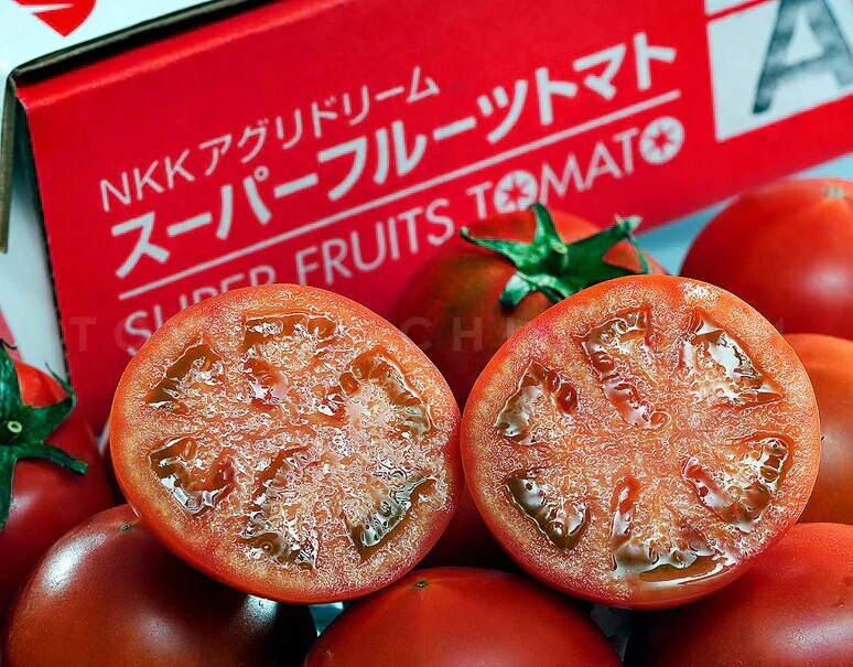 トマト 高糖度フルーツトマト 国産 ご家庭用 茨城県産 約900g（9〜16玉入） 糖度9度以上 中玉トマト 高級 ギフト プレゼント 産地直送 甘い 国産 ジュース ゼリー
