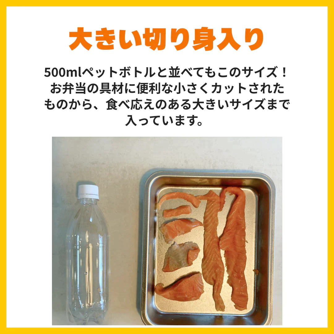 アトランティックサーモン　切り落とし　1kg【コインバック対象】