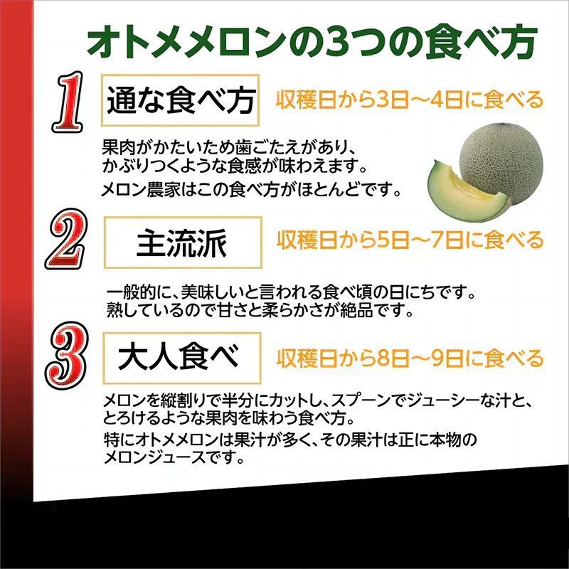 メロン 高級メロン 国産 旬のメロン 青肉 アンデスメロン オトメメロン イバラキング タカミ JA共選 特秀品 ２Lサイズ ０.８～０.９ｋｇ／玉 マスクメロン 大玉 お歳暮 御歳暮 おせいぼ 高級メロン めろん 甘い 絶品 高級フルーツ 果物 くだもの ご褒美 お供え お取り寄せフルーツ 美味しい