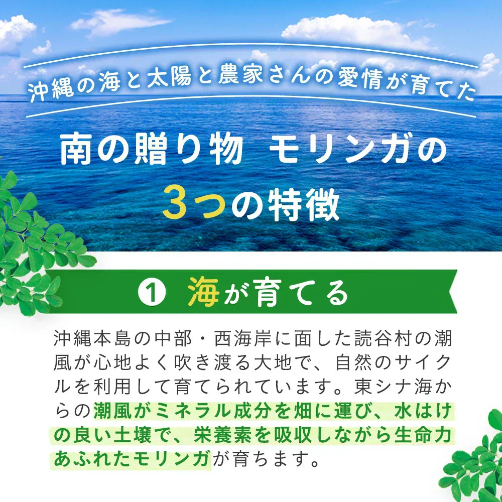 沖縄県産　モリンガ《約1ヶ月分》 モリンガ 粒 150粒 無農薬栽培 着色料 保存料 不使用