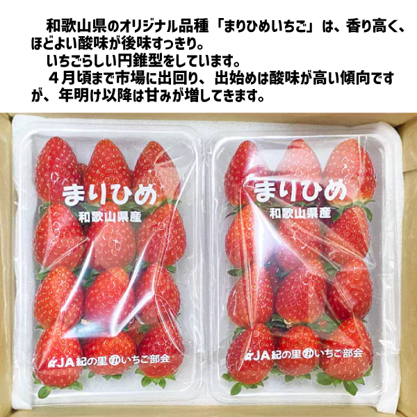 和歌山県産 まりひめ いちご M〜2L ２パック（250g×2パック）和歌山 紀の川市 ブランド 苺 イチゴ 送料無料 贈答 産地