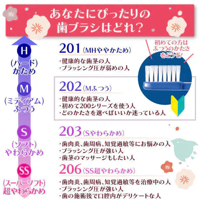 歯ブラシ Ci202(Mふつう) 4色アソート 4本セット【歯科医院専売品】【メール便送料無料】
