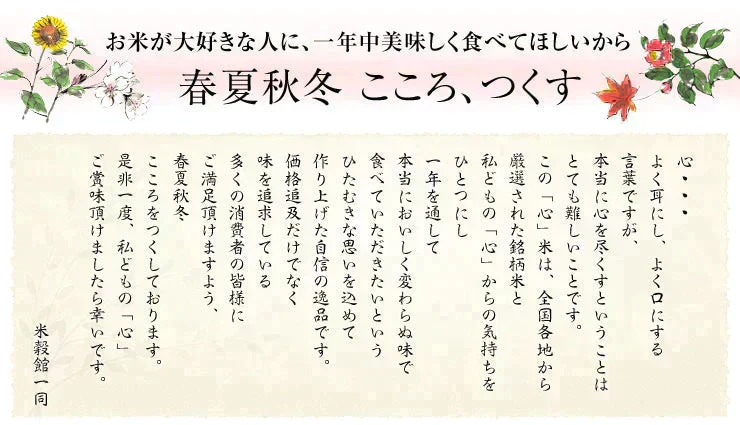 【訳あり】無洗米 10kg 送料無料 九州産 当店人気No1の無洗米 心(こころ) 10kg 九州のお米 5kg2個セット 令和7年産九州産米 精米時期7月下旬