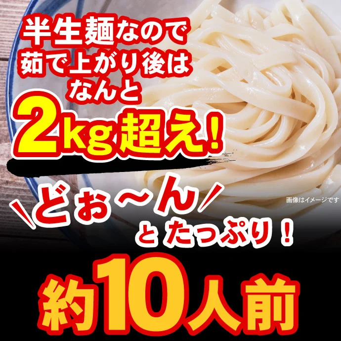 本場讃岐うどん 平打ち麺 10人前