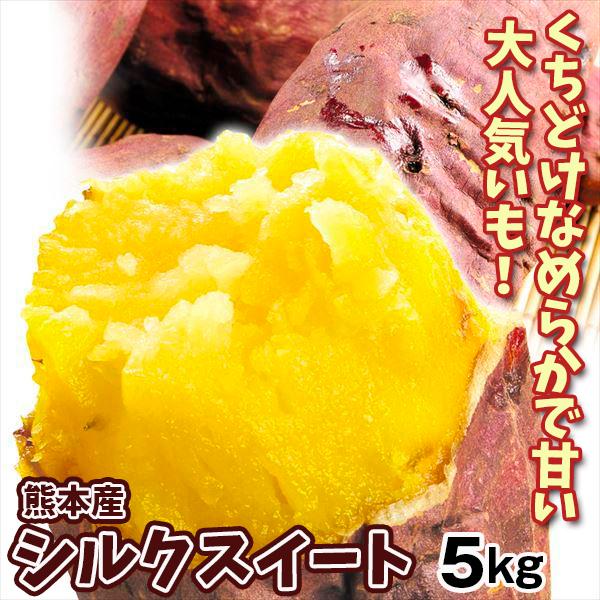 さつまいも 5kg シルクスイート 熊本産 蜜芋【2026年12月上旬より発送予定】