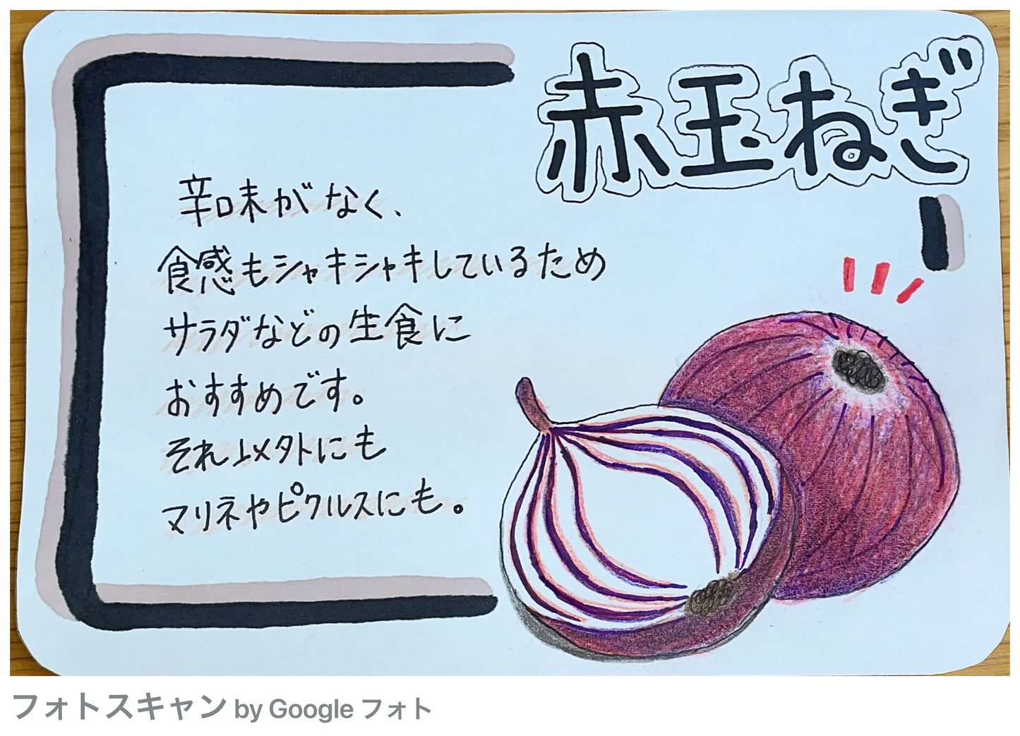 赤玉ねぎ ５kg 大阪府産 あかたまねぎ 玉葱 タマネギ 赤たまねぎ 5キロ