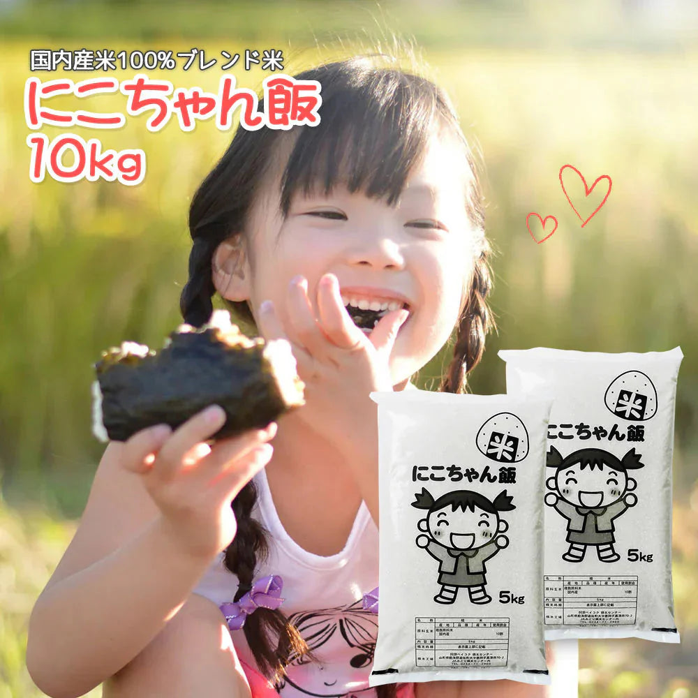 白米 10kg (5kg×2袋) にこちゃん飯 国内産 送料無料 米10キロ こめ コメ お米 新米 お米10kg
