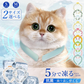 【ペット夏用保冷剤！】＼1本 Sサイズ 色がランダム出荷／犬 猫 PCM素材使用 クールリング ネッククーラー アイスクールリング ひんやり リング 軽量 ペット 首掛け 首 冷感リング 小型犬 お散歩 冷感 暑さ対策  ペット用品 猫冷却 冷感 ひんやりグッズ 物理降温 小型犬用