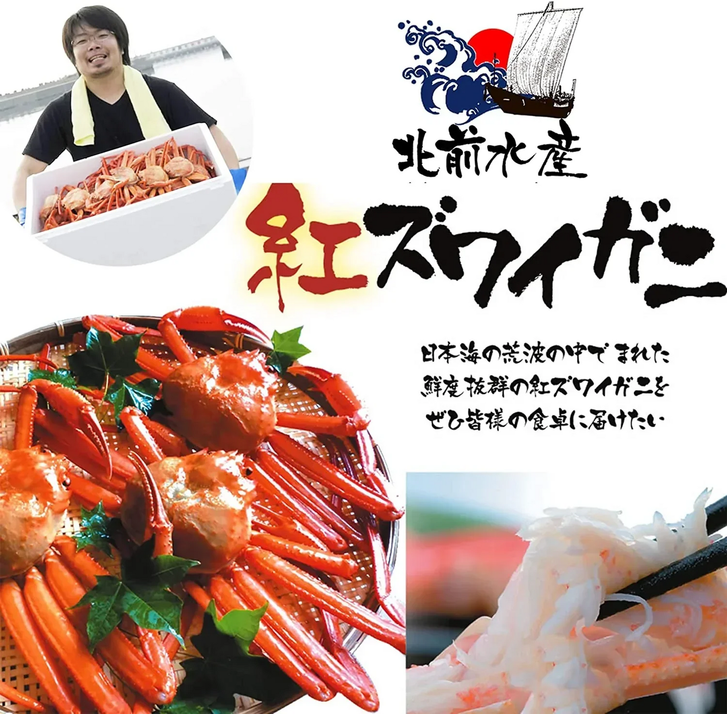 【北海道直送】国産冷凍 ボイル済 紅ズワイガニ セクション 約5kg箱 冷凍品 B品 Mサイズ (31~35肩入り目安)「漁師さん応援キャンペーン」 (5kg×1箱)【エコ得】