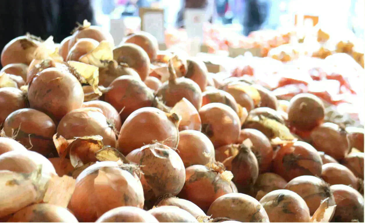 【有名飲食店 / ホテルも愛用】つやつやたまねぎ 10kg 野菜 根菜 玉葱 玉ねぎ タマネギ サラダ 市場 果物 料理 カレー 惣菜 ギフト