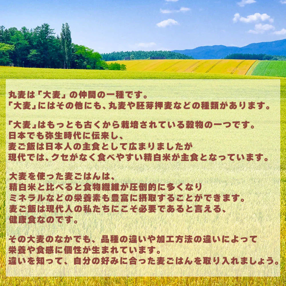 雑穀 雑穀米 国産 丸麦 24kg(400g×60袋) 業務用サイズ 無添加 無着色 送料無料