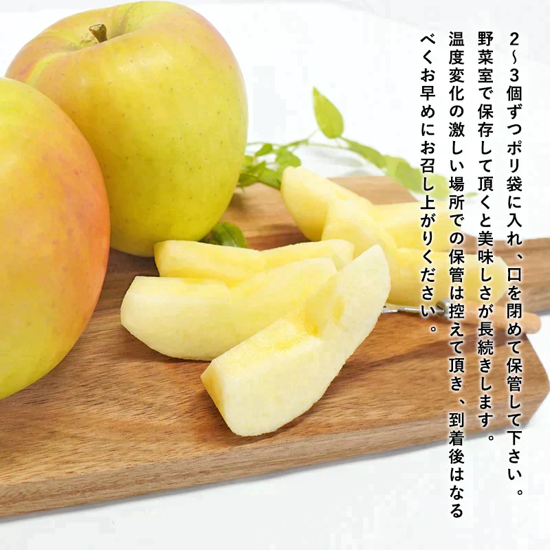 【ただいま発送中！】青森県産 訳あり ぐんま名月 約5kg ※11月中旬頃からご予約順に発送予定※ 家庭用 青森 りんご 林檎 群馬名月 果物 フルーツ 送料無料 ks