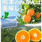 みかん　熊本産　おいしいみかん　5kg　サイズおまかせ　ご家庭用（発送予定：11月中旬より）