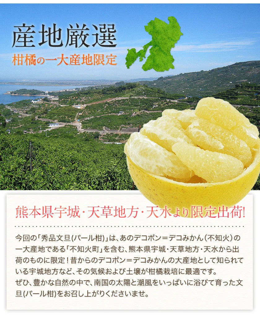【熊本コレクション】天草文旦 パール柑 ギフト 約3kg前後 送料無料 4L-3L / 5-6玉入 贈答用 御年賀 寒中見舞い 果物 フルーツ 12月上旬-12月末頃より発送予定