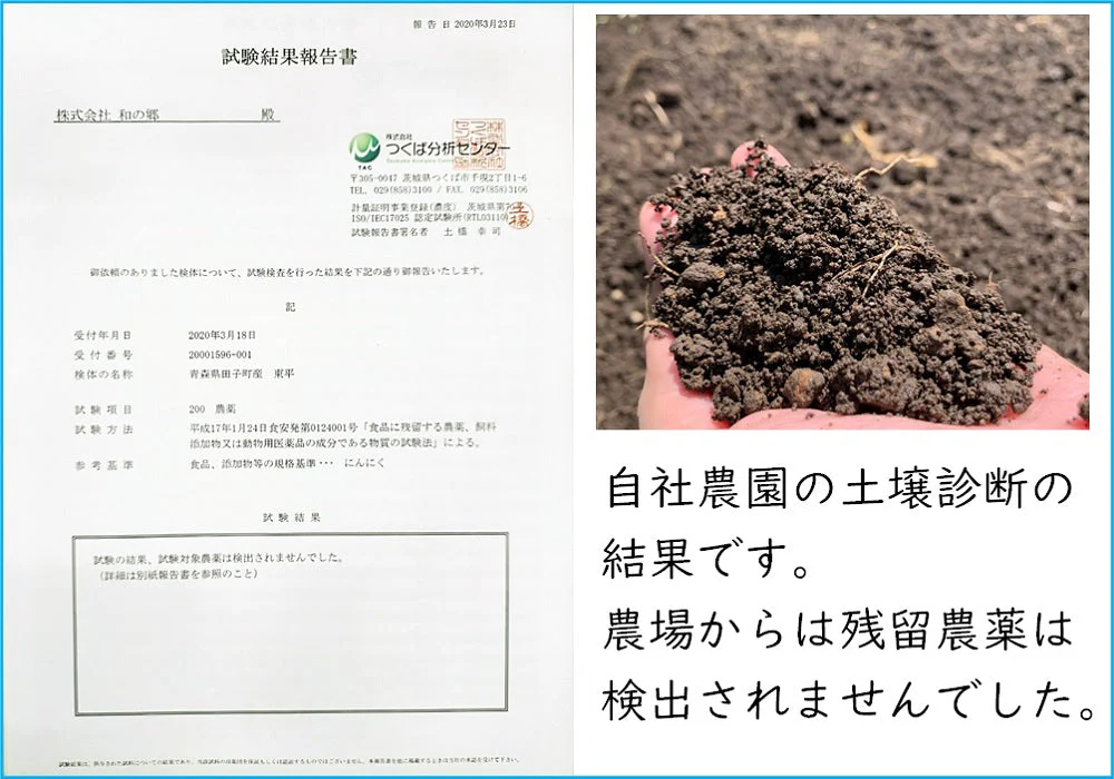 【アホエンオイル180ml】青森 田子 にんにく シチリア産 有機オリーブオイル じっくり低温抽出 アホエン オイル 効果 免疫 健康 元気 抗菌 血流 認知症 物忘れ