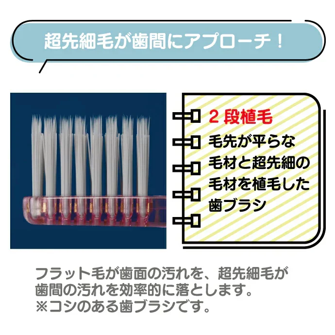 歯ブラシ Ci PRO Ag 超先細+フラット毛 / Mふつう 5本入【メール便送料無料】