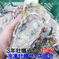 デカい牡蠣 殻付き 牡蠣 ３年牡蠣 １０ｋｇ 冷凍便 送料無料１０キロ 松島牡蠣屋 宮城県産 殻付き牡蠣 殻付き 殻付 カキ 加熱用 松島牡蠣屋 無選別牡蠣 牡蛎 ＢＢＱ バーベキュー食材 海産物 牡蠣通販 「３年牡蠣 １０ｋｇ」