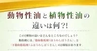 ＤＨＡ＋ＥＰＡ オメガ3系α-リノレン酸 亜麻仁油 《約1ヶ月分》 サプリ サプリメント 健康 オメガ3 リノレン酸 えごま油 亜麻仁油 ドコサヘキサエン酸【カウシェファーム収穫対象商品】