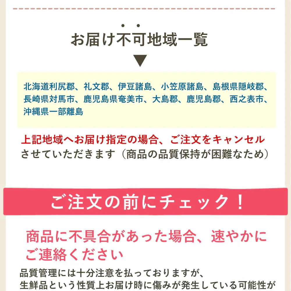 【遅れてゴメン母の日ギフト順次発送】さくらんぼ佐藤錦Ｌ玉24粒ギフト箱詰めカーネーション1本と母の日カード付き山形県より直送