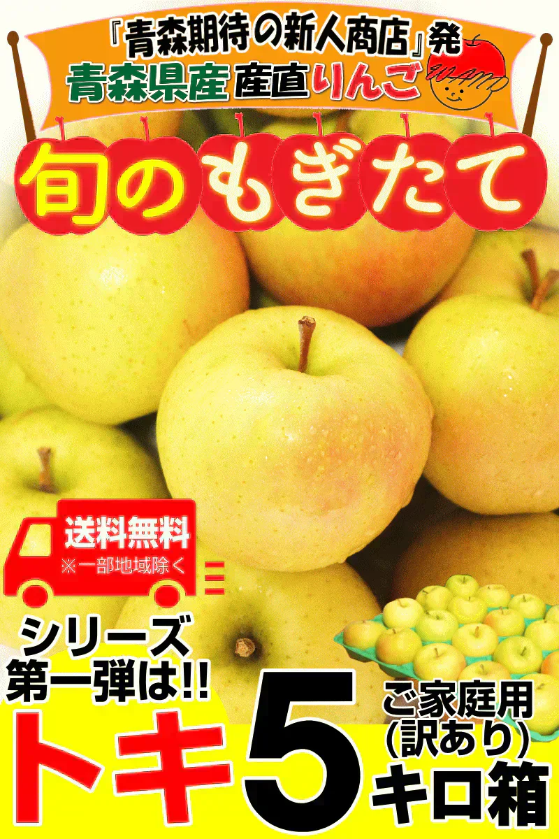 【即日発送】青森県産 りんご トキ 5kg箱 家庭用/訳あり ★トキ 家訳 5kg箱