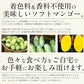 ソフトマンゴー ドライマンゴー 400g マンゴー フルーツギフト ドライフルーツ ドライソフトマンゴー スライス ドライフルーツお一人様2個まで 着色料＆香料不使用 ドライソフトマンゴー スライス フルーツ デザート おやつ 送料無料 母の日 プレゼント ギフト 母の日思いの
