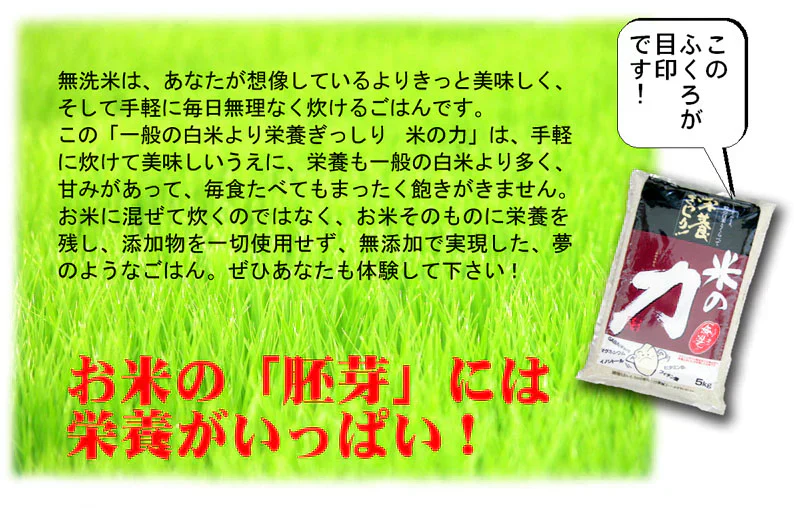送料無料 無洗米 栄養ぎっしり 米の力　2kg 送料無料 お試し 九州産 米 4kg 2キロ×2個