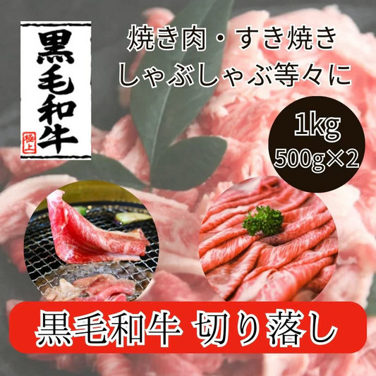 九州産 黒毛和牛 切り落とし 1kg（500g×2パック）