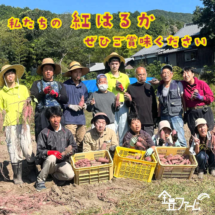 訳あり さつまいも 4kg 農薬不使用 「 佐賀県産 紅はるか 4kg 未選別 詰合せ 家庭用 」送料無料 福祉事業所直営農園栽培