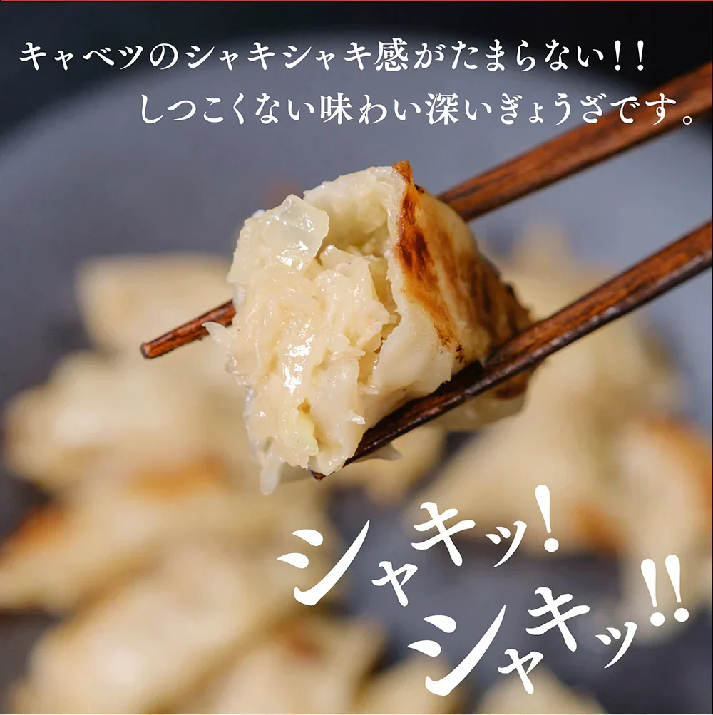 太宰府ぎょうざ ぎょうざ 餃子 96個 270g 送料無料 にんにく 中華 冷凍食品 お取り寄せ ギフト おかず 冷凍餃子  福岡県産 rep-001