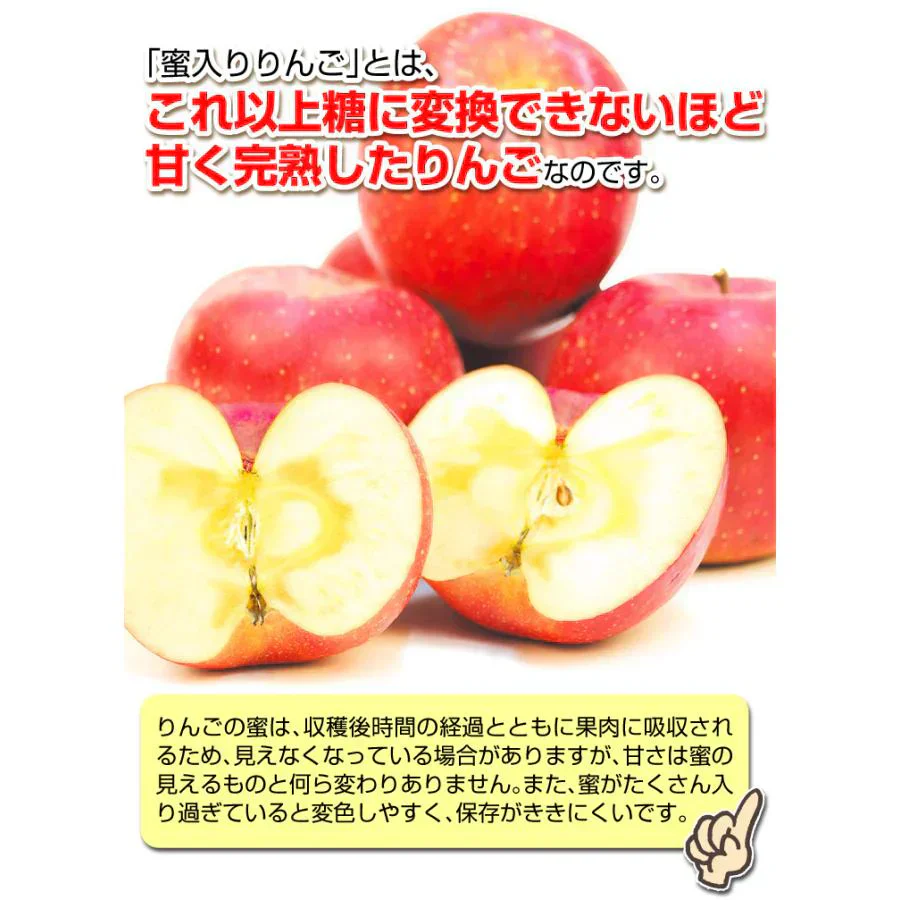 りんご 蜜入りサンふじ 山形産 3kg （発送予定：12月上旬より）