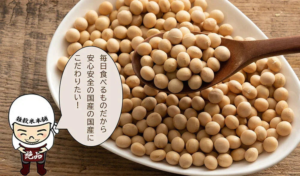雑穀 雑穀米 国産 大豆ミート(フィレ) 2kg(250g×8袋) 送料無料