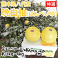 晩白柚 みかん ばんぺいゆ 送料無料 特選 約3kg～4kg 2玉入 M〜2Lサイズ 世界最大級の柑橘 熊本県八代産 蜜柑 ミカン