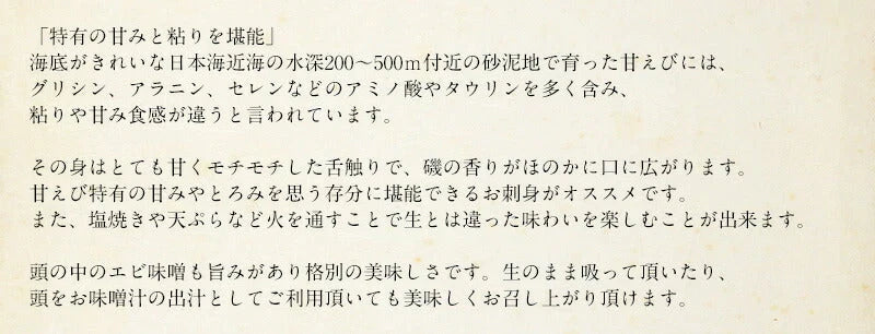 越前産 甘えび 甘エビ 子持ち 500g（約40尾入り） 冷凍エビ 冷凍えび 冷凍海老 刺身用 天然 食べ物 海鮮 魚介 水産 冷凍 祝い お徳用 国内 魚介類 美味しいお取り寄せ グルメ 贈り物 母の日 プレゼント ギフト  母の日思いの 実用的