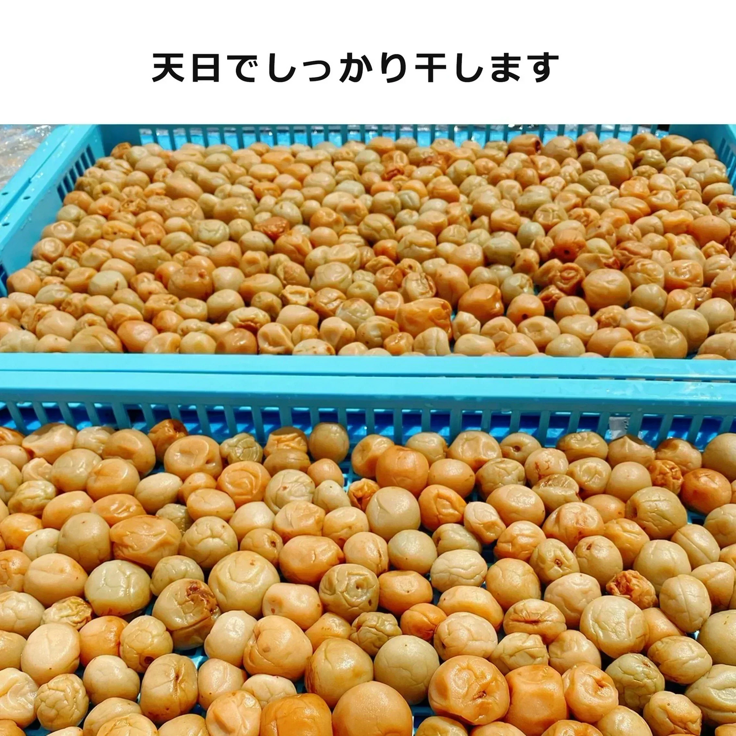 【全国一律送料無料】800ｇつぶれ梅（はちみつ入）400ｇ×2袋セット【エコ得】