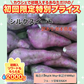訳あり シルクスイート 箱込5キロ(4.5kg+保証分500g) 蔵出し サイズおまかせ さつまいも 蜜芋 熊本産 送料無料 80サイズ【ご新規さん限定商品】