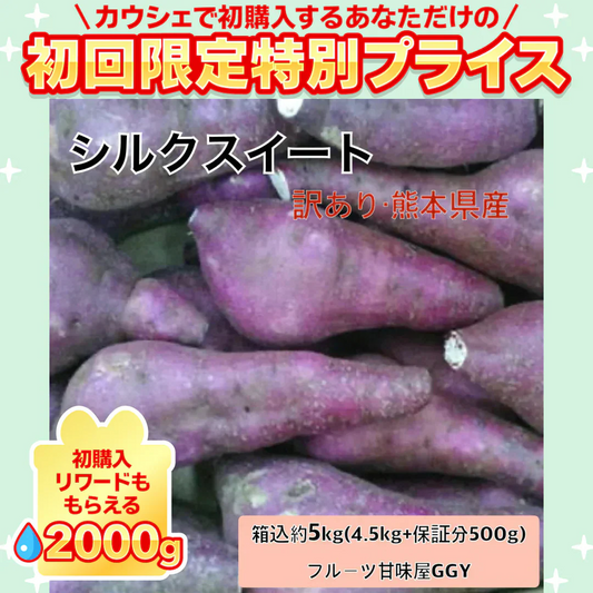 訳あり シルクスイート 箱込5キロ(4.5kg+保証分500g) 蔵出し サイズおまかせ さつまいも 蜜芋 熊本産 送料無料 80サイズ【ご新規さん限定商品】