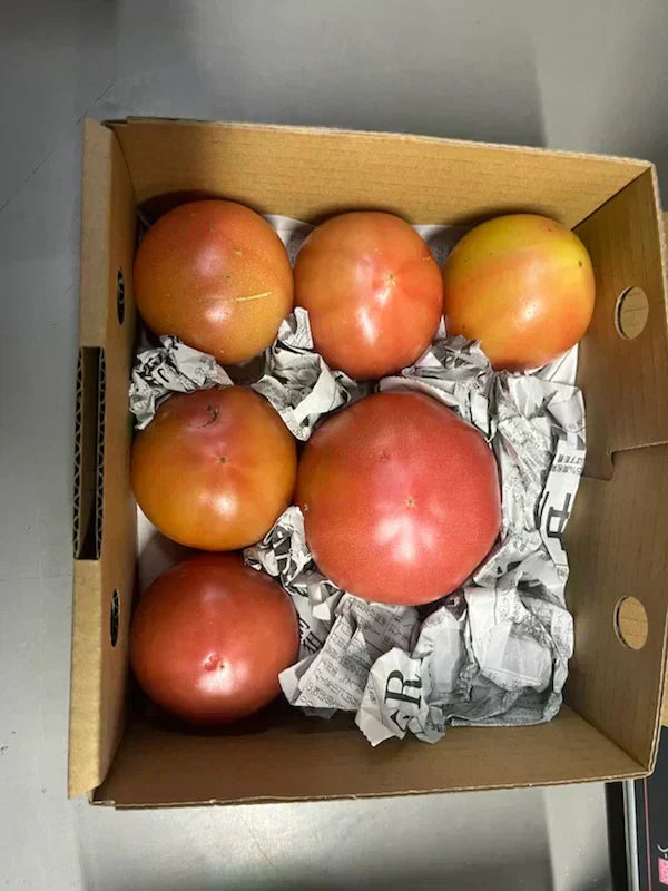 【予約販売/9月中旬〜10月中旬頃より順次発送開始予定】トマト 🍅700g 常温便配送 (トマト・ミディトマト・ミニトマトなど種類は出品者おまかせ) 60サイズ【北海道・東北・沖縄配送不可】【カウシェファーム収穫対象商品】